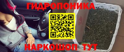 твердый Дмитров