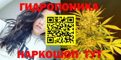 гидропоника Кунгур