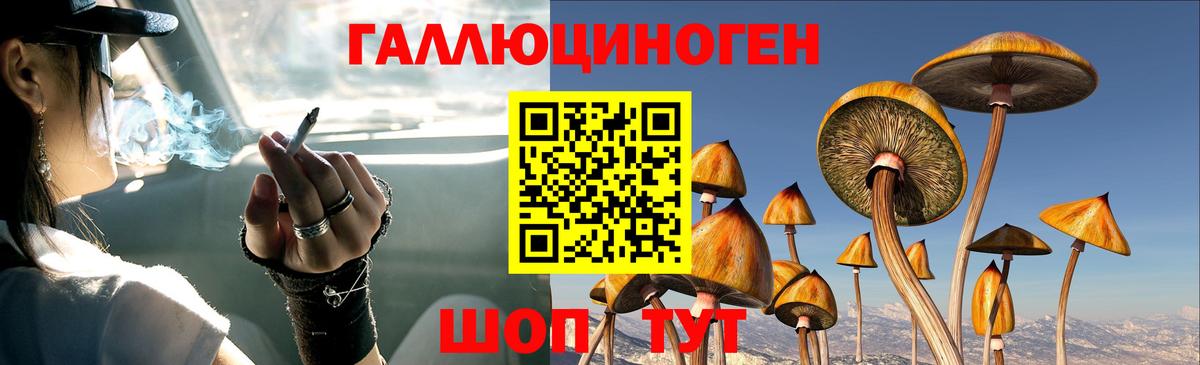 где купить   Псилоцибиновые грибы мухоморы  Киселёвск  Вход с VPN  Галлюциногенные грибы MAGIC MUSHROOMS 